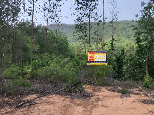 ใช่ 💟 ที่ดินเปล่า บรรพตพิสัย นครสวรรค์ 💟 รูปที่ 3