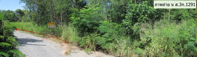 ใช่ 💟 ที่ดินเปล่า โครงการวอยาจ พานอรามา นครราชสีมา 💟