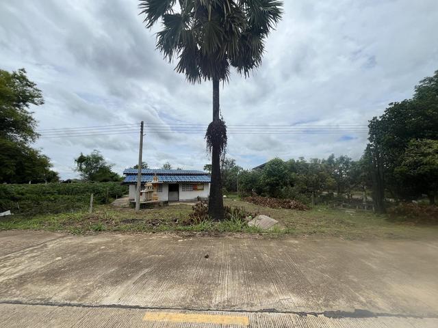 💟 บ้านเดี่ยว จอมบึง ราชบุรี 💟 รูปที่ 2