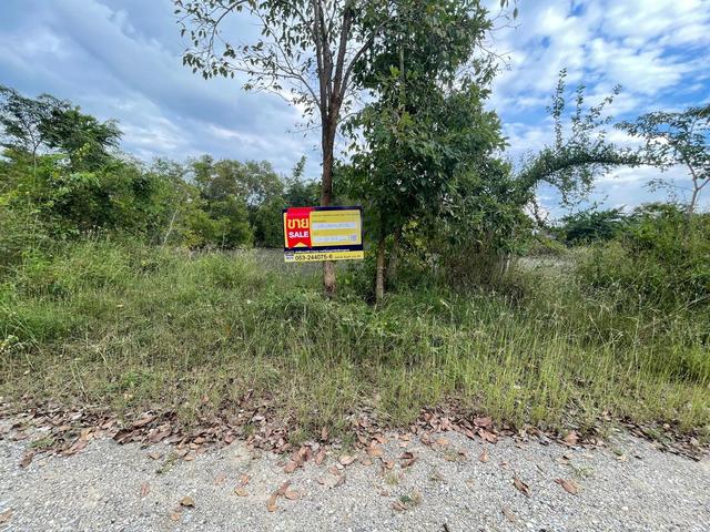 💟 ที่ดินเปล่า โครงการบ้านไร่ริมธาร ลำพูน 💟