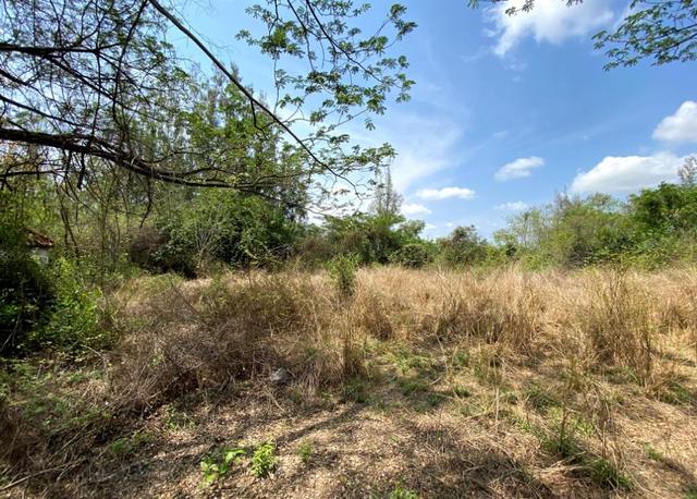 ใช่ 💟 ที่ดินเปล่า โครงการบ้านไร่ริมธาร ลำพูน 💟 รูปที่ 4