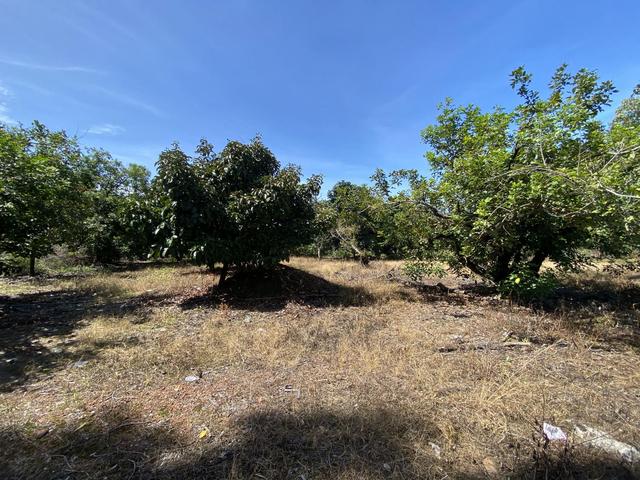 ใช่ 💟 ที่ดินเปล่า ตราด 💟 รูปที่ 4