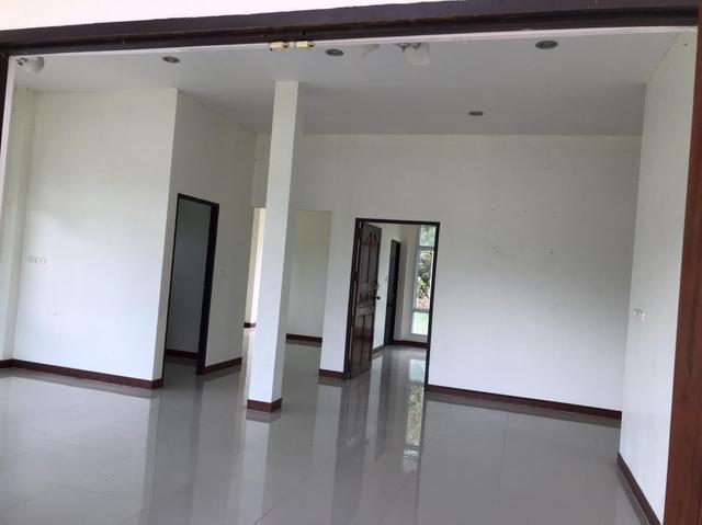 ใช่ 💟 บ้านเดี่ยวชั้นเดียว นากลาง หนองบัวลำภู 💟 รูปที่ 3