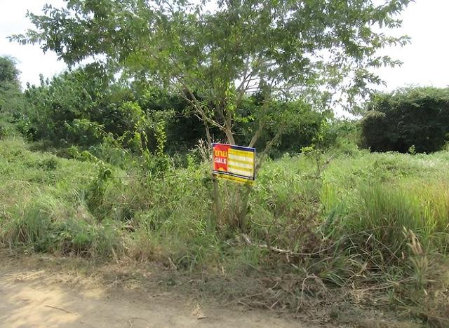 ใช่ 💟 ที่ดินเกษตรกรรม โครงการปากปวน เลย 💟