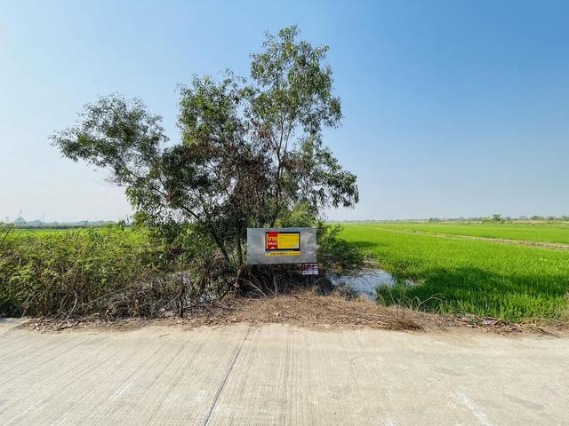 ใช่ 💟 ที่ดินเปล่า ถนนเลียบถนนหมอน 40 วังน้อย 💟 รูปที่ 2