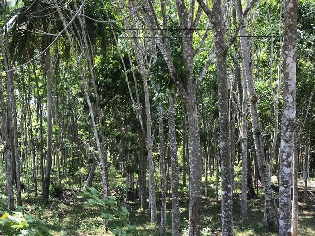 āđāļāđ ð āļāļĩāđāļāļīāļāđāļāļĨāđāļē āļāļĢāļ°āļāļĩāđ ð āļĢāļđāļāļāļĩāđ 3