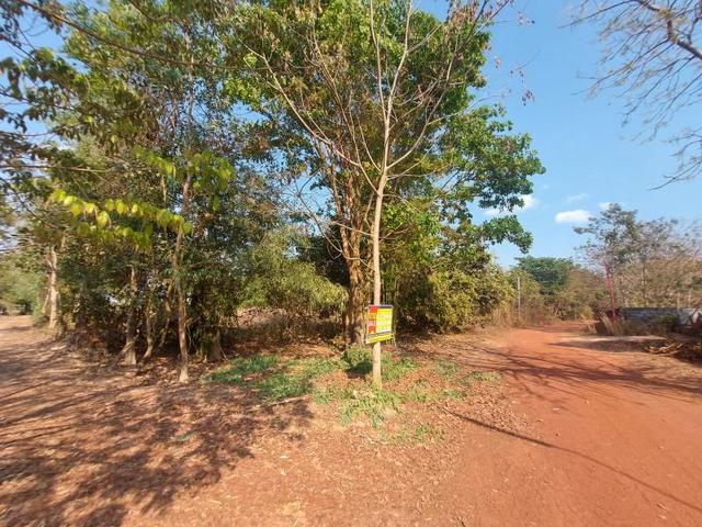 ใช่ 💟 ที่ดินเปล่า ชุมชนโพธิ์หมากแข้ง บึงกาฬ 💟 รูปที่ 3