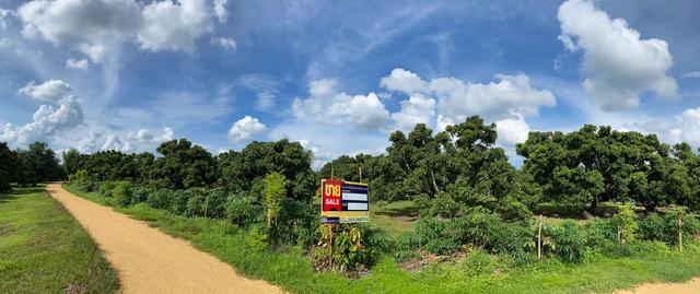 ใช่ 💟 ที่ดินเปล่า โครงการสวนเกษตรน้ำดิบ ลำพูน 💟 รูปที่ 2