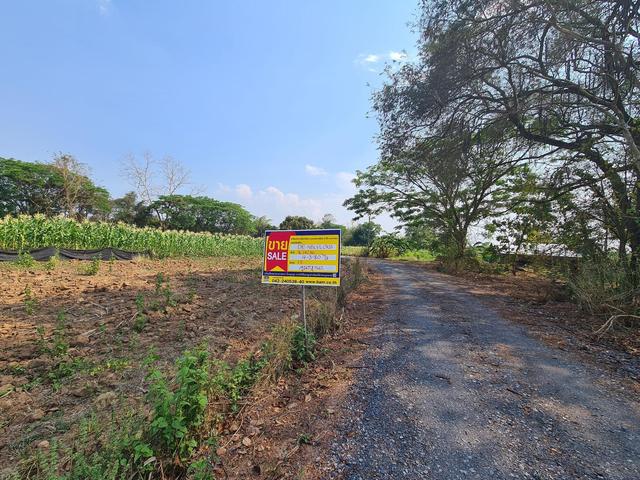 ใช่ 💟 ที่ดินเปล่า หนองบัวลำภู 💟 รูปที่ 3