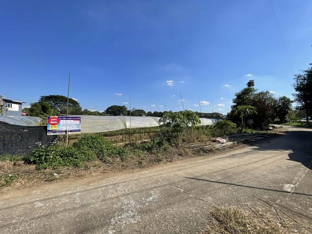 ใช่ 💟 ที่ดินเปล่า โครงการริมปิงการ์เดนรีสอร์ท เชียงใหม่ 💟 รูปที่ 2