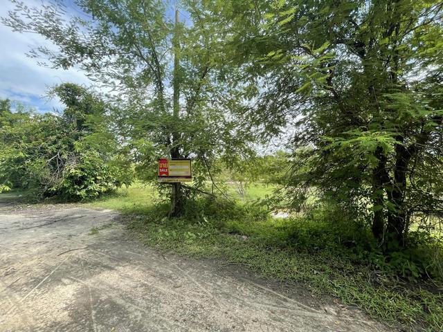 ใช่ 💟 ที่ดินเปล่า โครงการร่มฉัตรภูวิว ลำพูน 💟 รูปที่ 3