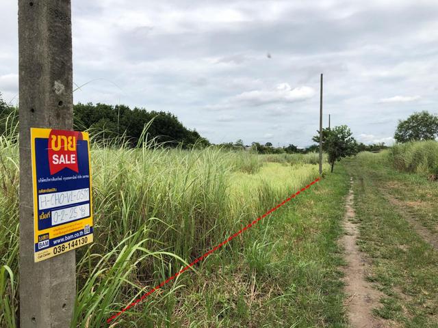 ใช่ 💟 ที่ดินเปล่า โครงการสุภัตทา 5 ชลบุรี 💟 รูปที่ 3