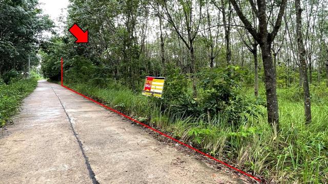 ใช่ 💟 ที่ดินเปล่า หนองบัวลำภู 💟