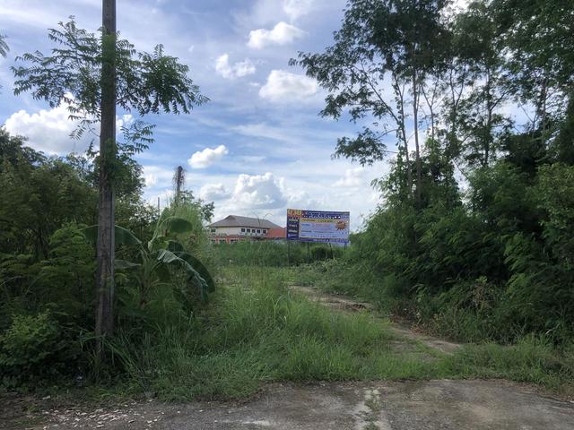 ใช่ 💟 ที่ดินเปล่า โครงการสวรรค์ธานี นครสวรรค์ 💟