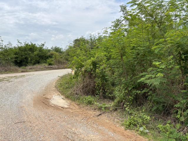 ใช่ 💟 ที่ดินเปล่า โครงการสวนขวัญจามเทวี ลำพูน 💟 รูปที่ 4