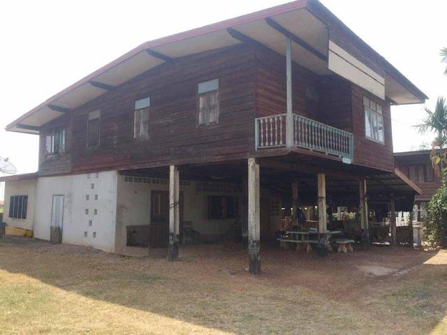 💟 บ้านเดี่ยว บ้านท่าลี่ หนองคาย 💟 รูปที่ 4