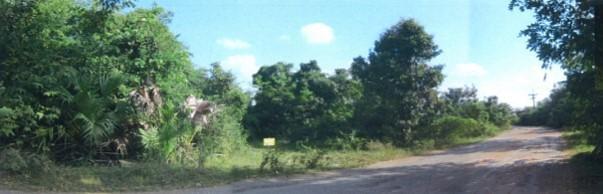 ใช่ 💟 ที่ดินเปล่า โครงการกรีนการ์เด้นท์ นครราชสีมา 💟 รูปที่ 4