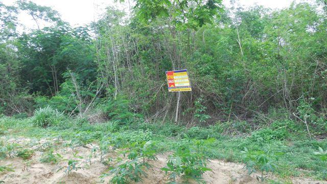 ใช่ 💟 ที่ดินเปล่า โครงการพนาภากร นครราชสีมา 💟