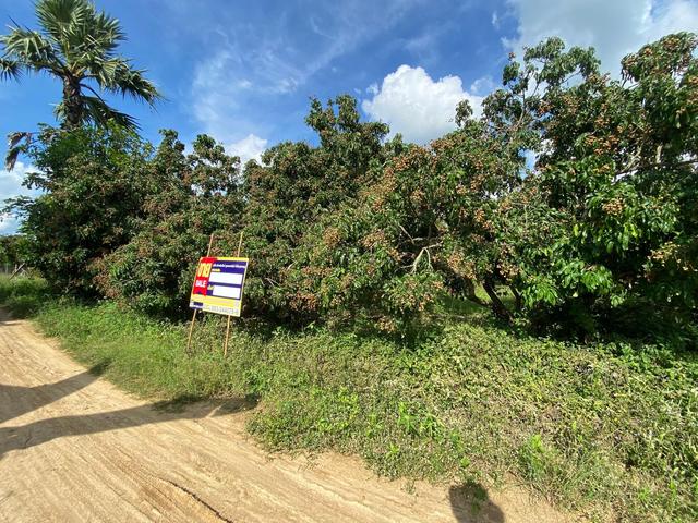 ใช่ 💟 ที่ดินเปล่า โครงการสวนเกษตรน้ำดิบ ลำพูน 💟 รูปที่ 2