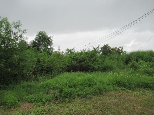 ใช่ 💟 ที่ดินเปล่า โครงการจิตต์อารีย์วิลล์ 2 ลำปาง 💟 รูปที่ 4