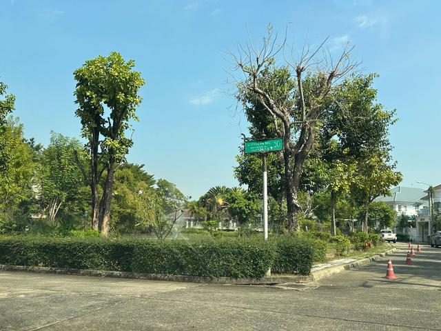 ใช่ 💟 บ้านเดี่ยว โครงการมณียา มาสเตอร์พีซ รัตนาธิเบศร์ 💟 รูปที่ 2