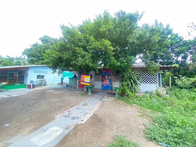 ใช่ 💟 บ้านเดี่ยว ราชบุรี 💟 รูปที่ 3