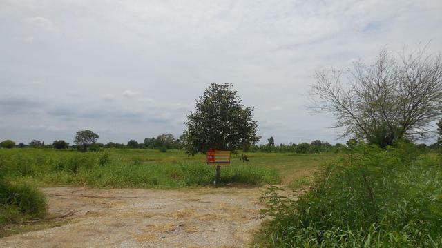 ใช่ 💟 ที่ดินเปล่า นครราชสีมา 💟