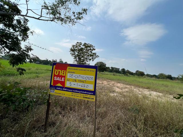 ใช่ 💟 ที่ดินเปล่า วัดสิงห์ ชัยนาท 💟 รูปที่ 4