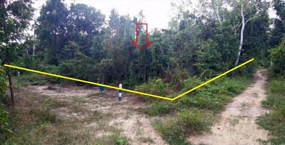 ใช่ 💟 ที่ดินเปล่า ตาก 💟 รูปที่ 4