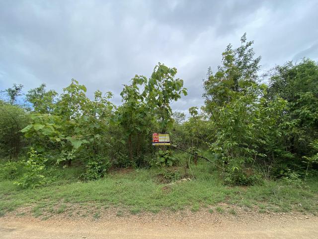 💟 ที่ดินเปล่า โครงการสวนเกษตรทรัพย์สักทอง ลำพูน 💟