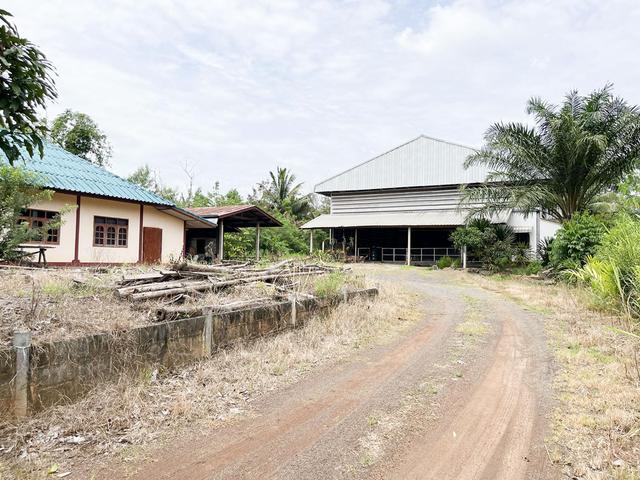 ใช่ 💟 บ้านเดี่ยวชั้นเดียว เสิงสาง นครราชสีมา 💟 รูปที่ 4