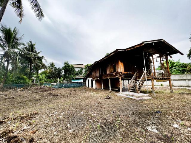 ใช่ 💟 บ้านเดี่ยวชั้นเดียว โครงการหนองแสะ สันกำแพง เชียงใหม่ 💟 รูปที่ 3