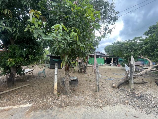 ð āļāđāļēāļāđāļāļĩāđāļĒāļ§āļāļąāđāļāđāļāļĩāļĒāļ§ āļāļāđāļāļ ð āļĢāļđāļāļāļĩāđ 3