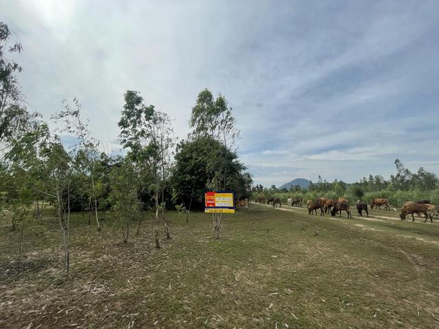 💟 ที่ดินเกษตรกรรม ท่ายาง เพชรบุรี 💟