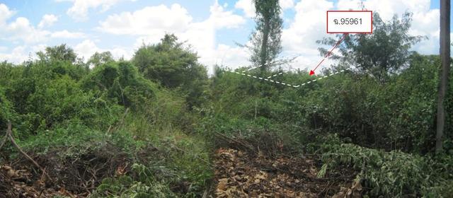 āđāļāđ ð āļāļĩāđāļāļīāļāđāļāļĨāđāļē āđāļāļĢāļāļāļēāļĢāļĒāļļāļ§āļāļĩāļĢāļīāđāļ§āļāļĢāđāļ§āļīāļ§ āļāļļāļāļĨāļĢāļēāļāļāļēāļāļĩ ð āļĢāļđāļāļāļĩāđ 3