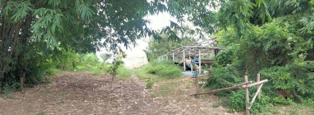 💟 บ้านเดี่ยวชั้นเดียว พนมสารคาม ฉะเชิงเทรา 💟 รูปที่ 4