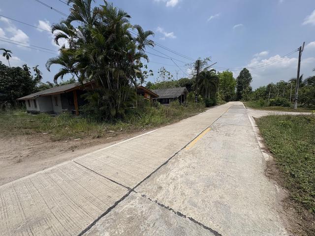 💟 บ้านเดี่ยวชั้นเดียว สุราษฎร์ธานี 💟 รูปที่ 4