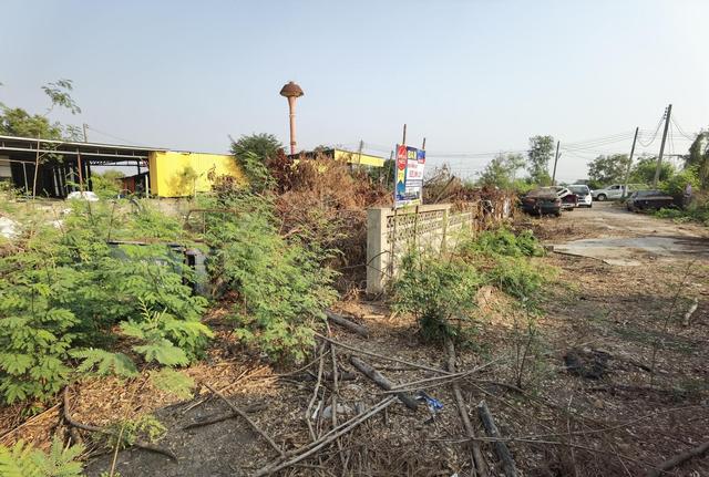 ใช่ 💟 ที่ดินเปล่า โครงการหทัยกร 2 พระนครศรีอยุธยา 💟 รูปที่ 4