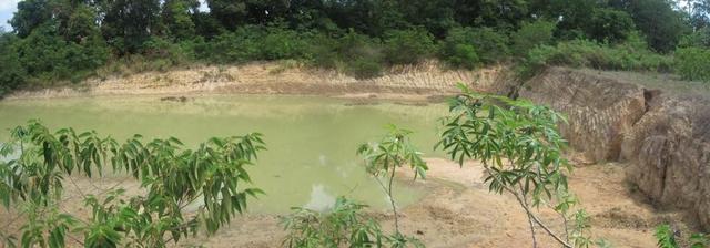 ใช่ 💟 ที่ดินเปล่า อุบลราชธานี 💟 รูปที่ 4