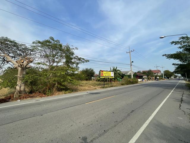 ใช่ 💟 ที่ดินเปล่า เพชรบุรี 💟 รูปที่ 3