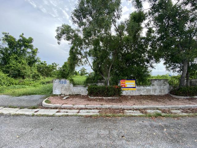 💟 ที่ดินเปล่า โครงการเลคไซด์ วิลล่า 3 ฉะเชิงเทรา 💟 รูปที่ 4