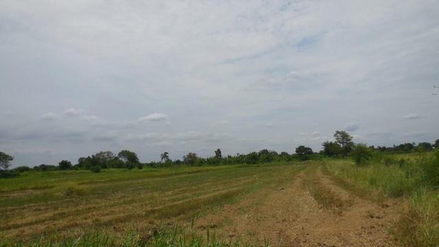 ใช่ 💟 ที่ดินเปล่า นครราชสีมา 💟 รูปที่ 3