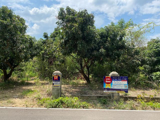 💟 ที่ดินเปล่า ดอยหล่อ เชียงใหม่ 💟