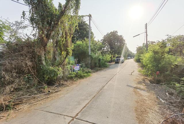 ใช่ 💟 ที่ดินเปล่า โครงการหทัยกร 2 พระนครศรีอยุธยา 💟 รูปที่ 4