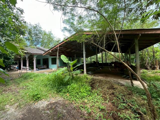 ใช่ 💟 บ้านพักอาศัยเดี่ยวชั้นเดียว นครศรีธรรมราช 💟 รูปที่ 3