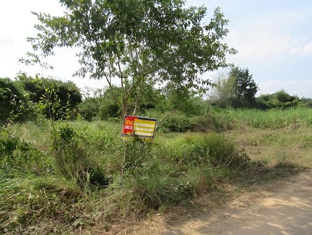 ใช่ 💟 ที่ดินเกษตรกรรม โครงการปากปวน เลย 💟 รูปที่ 4