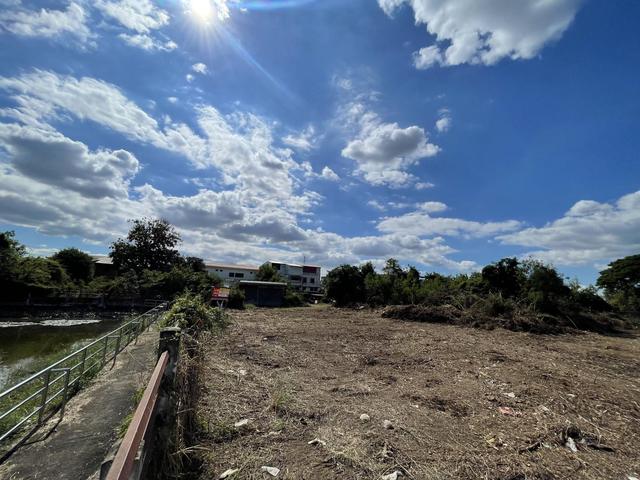 ใช่ 💟 ที่ดินเปล่า พิจิตร 💟 รูปที่ 3