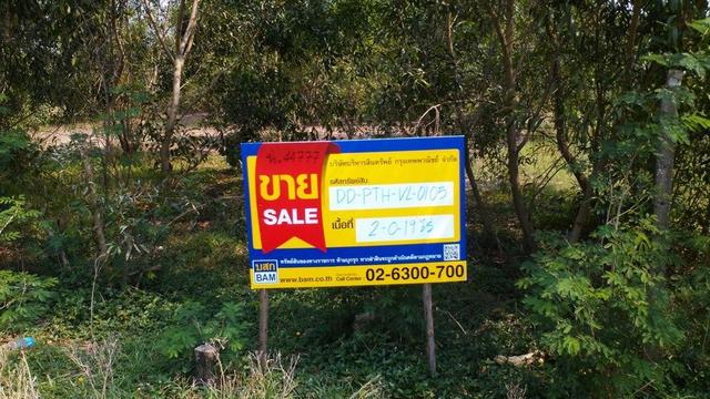 ใช่ 💟 ที่ดินเปล่า เอราวัญ 19 ปทุมธานี 💟 รูปที่ 3