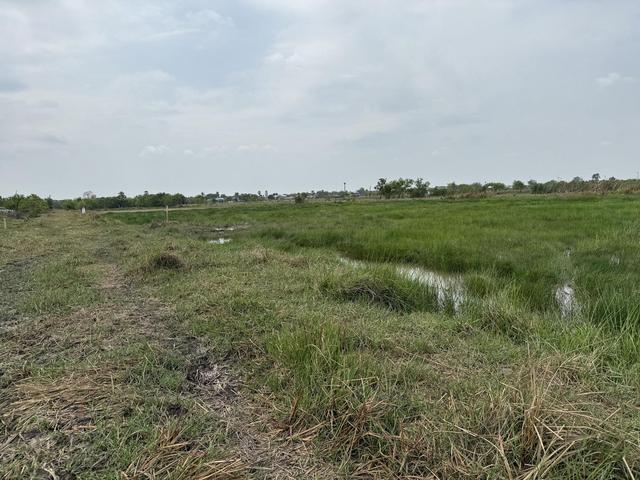 āđāļāđ ð āļāļĩāđāļāļīāļāđāļāļĨāđāļē āđāļāļĢāļāļāļēāļĢāļŠāļļāļāļŠāļ§āļąāļŠāļāļīāđ āļāļāļĢāļāļēāļĒāļ ð āļĢāļđāļāļāļĩāđ 3