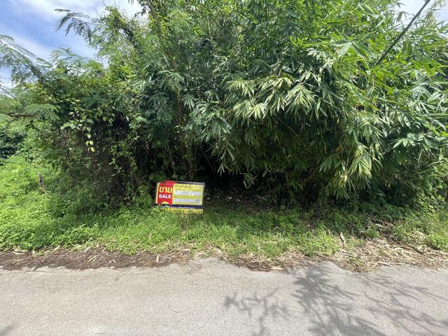 ใช่ 💟 ที่ดินเปล่า ลำพูน 💟 รูปที่ 4